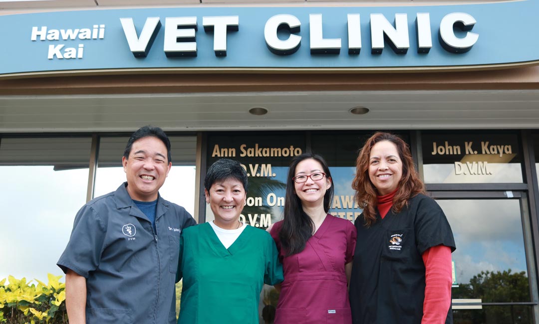 Hawaii Kai Veterinary Clinic - Koko Marina Center