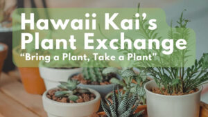 Hawaii Kai Plant Exchange at Koko Marina Center