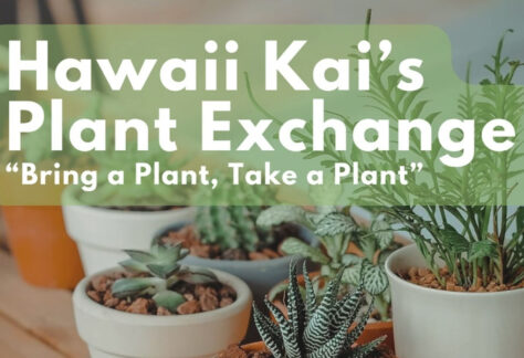 Hawaii Kai Plant Exchange at Koko Marina Center