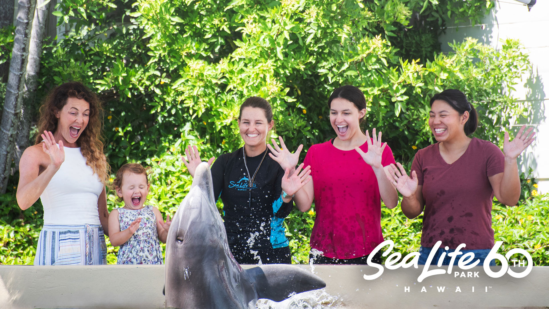 Sea Life Park Hawaii Dolphin Aloha Group 
